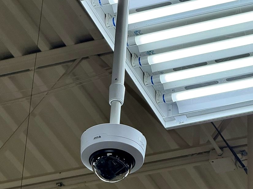 Axis Communications pendant-mounted dome security camera providing wide-area surveillance coverage in a Michigan commercial facility - installed by Michigan Security Systems